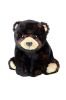 Beanie Babies brązowo czarny niedźwiedź Kodi 15cm